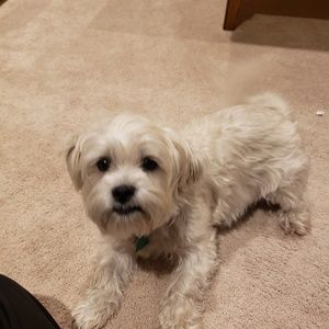 Meet your Posher, Dianna